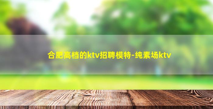 合肥高档的ktv招聘模特-纯素场ktv